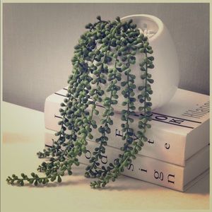 ceramic flower plant vase